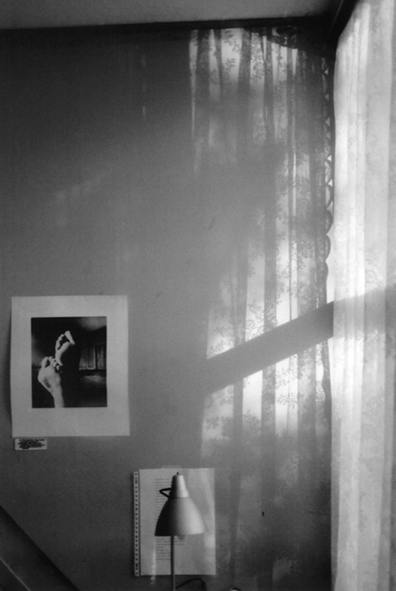 04-look-homeward-angel-2010-30-02