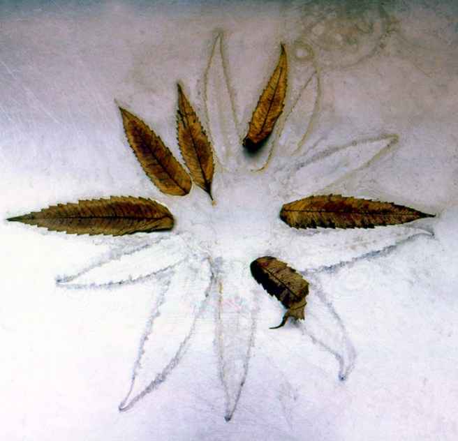 A2009-AO De_getekende_tijd_dia_Gertrudsdottir