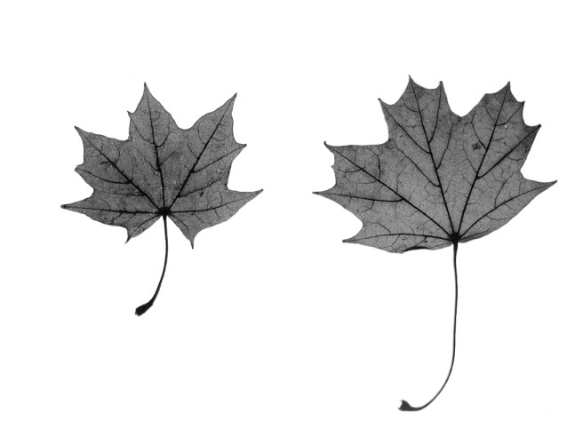 18 - Sanctuary 9 2014