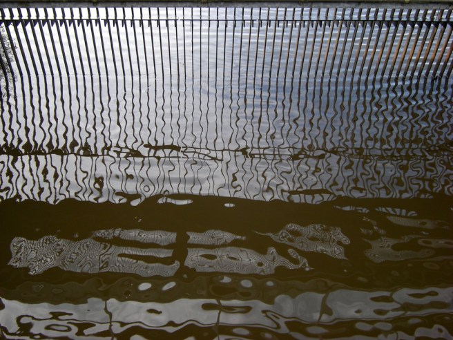 21 - Breda 2009 DSCN2049