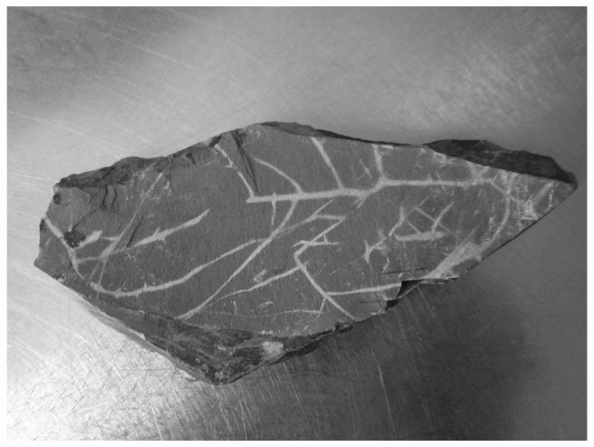 24 - Whiteadder Stone 2014