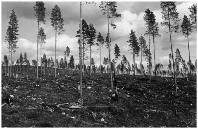 31 - 1 Malungsfors 1983-86-05