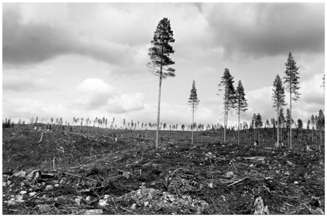 31 - 2 Malungsfors 1983-86-06