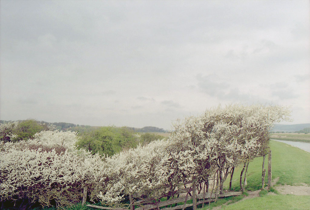 33 - Sussex Ouse Valley 2011-38-12