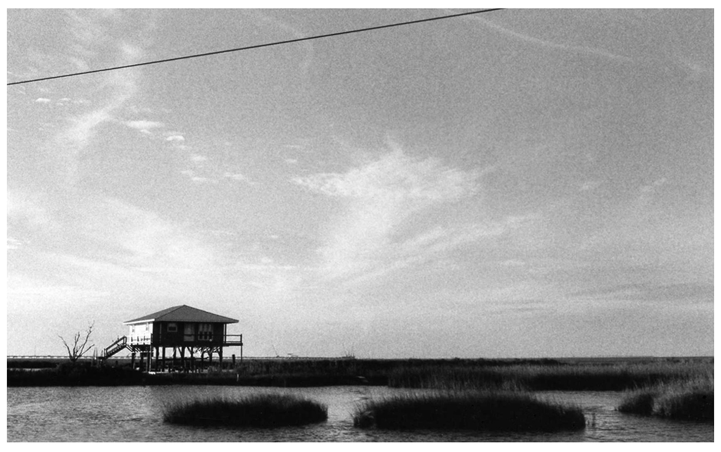 36 - 2010-25-00 Grand Isle camp