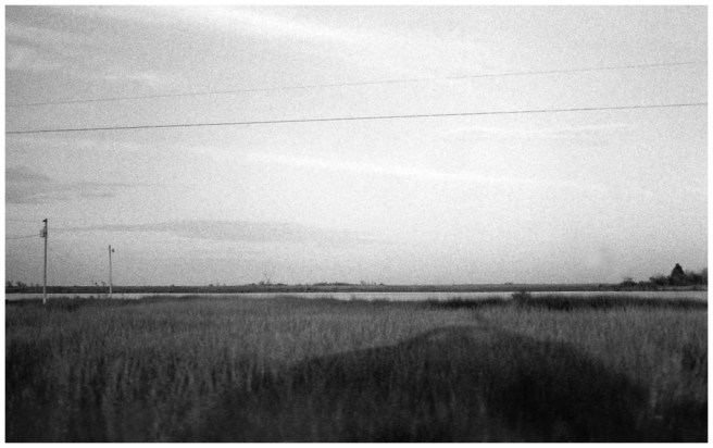 36 - 2010-25-01 Grand Isle swamp