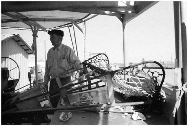 36 - Golden Meadow 2010-24-06