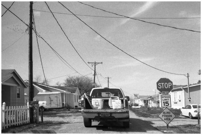 36 - Golden Meadow 2010-24-13