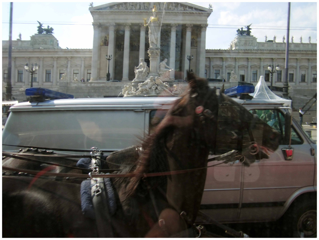 46 - IMG_4136 oh vienna 2016