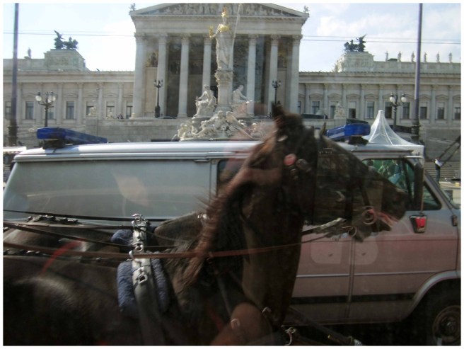 46 - IMG_4136 oh vienna 2016