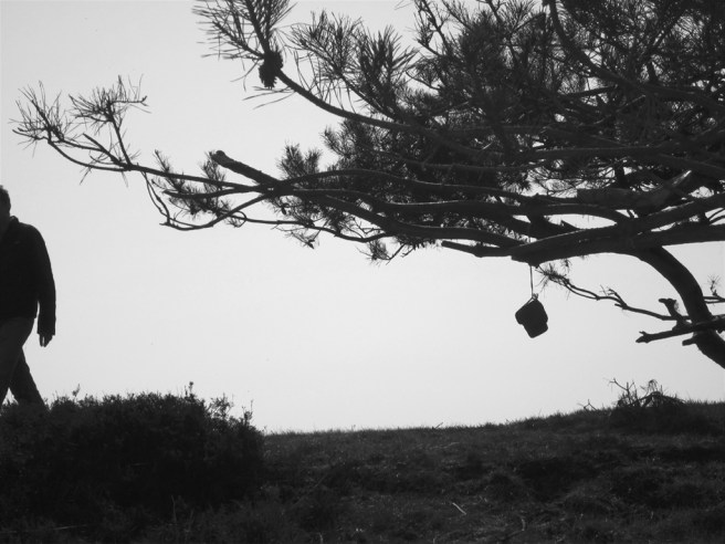 54-img_1911-dwingelderveld-2014