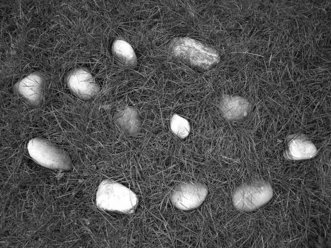 55-img_4644-rivierstenen-2016-01