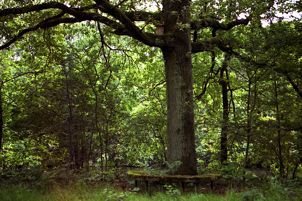 59-2012-55-21-ulvenhoutsebos