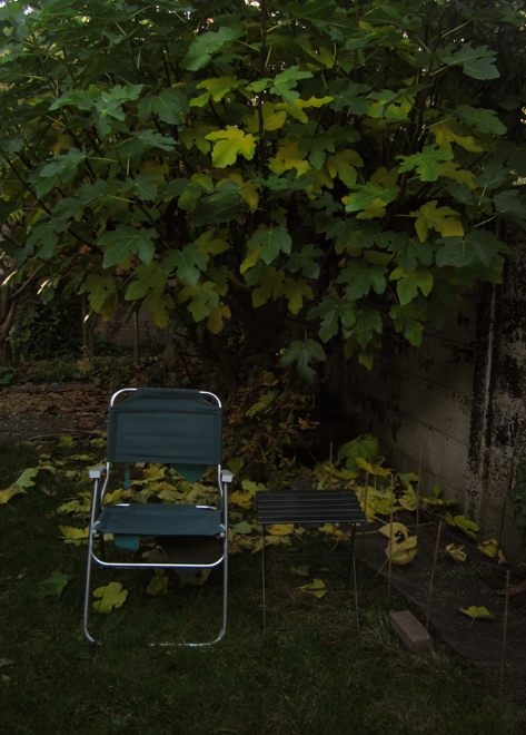 59-2016-4711-vijg-gras-stoel-tafel