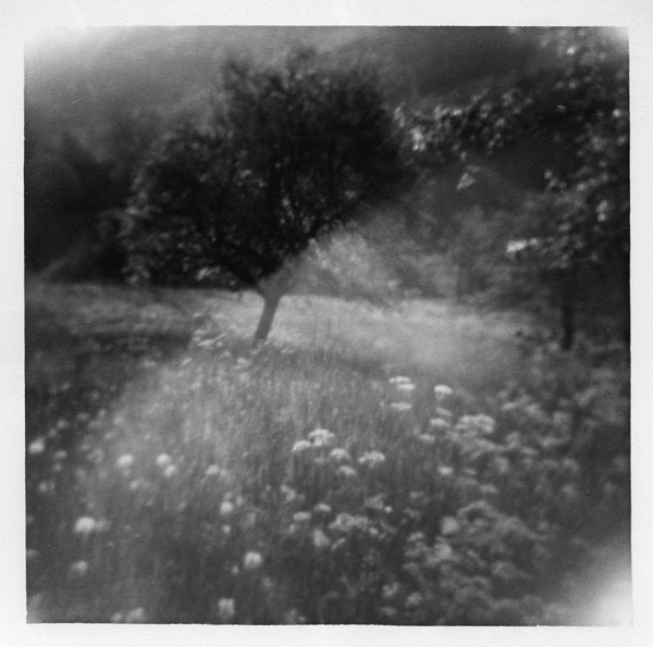 1985-104-13_vebron_gertrudsdottir