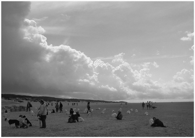 strand_de_cocksdorp_texel_2007_gertrudsdottir