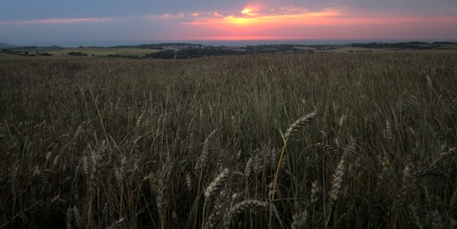 2015-3603_leubringhem_gertrudsdottir