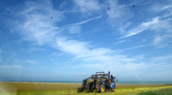 2015-3012_entre_2_caps_gertrudsdottir