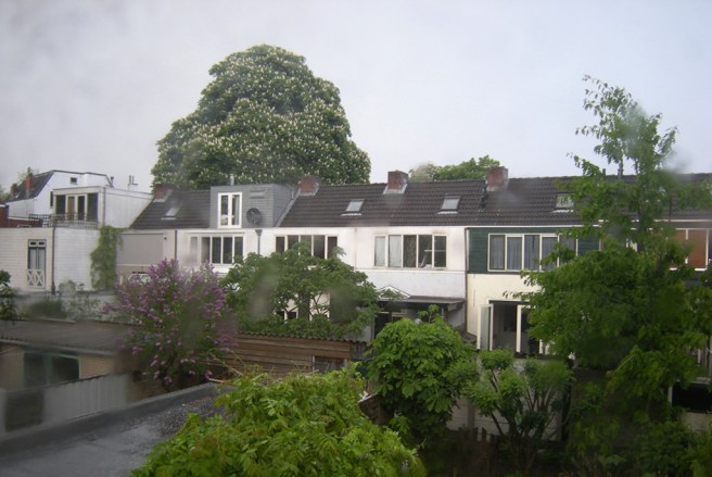 44-2010_foto © Gertrudsdottir