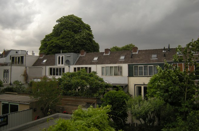 05-2011_foto © Gertrudsdottir