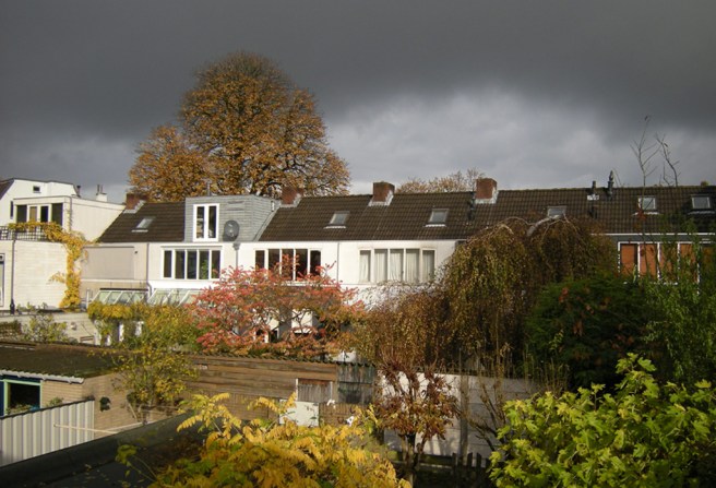 11-2010_foto © Gertrudsdottir