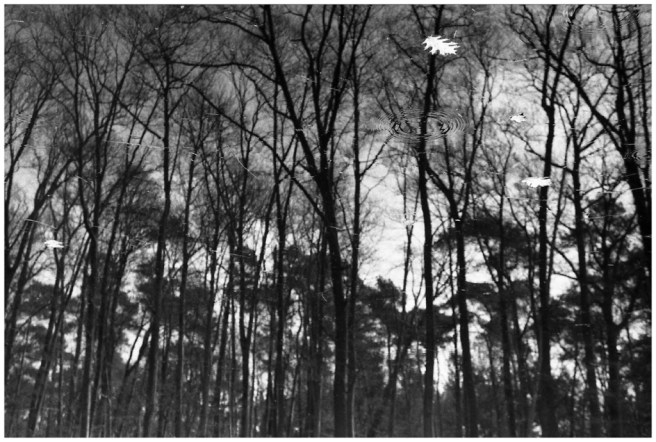 2014-64-11 hondsdonk