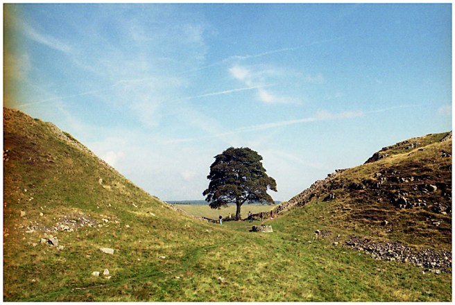 98 - 2014-69-28 sycamore_gap_GERTRUDSDOTTIR