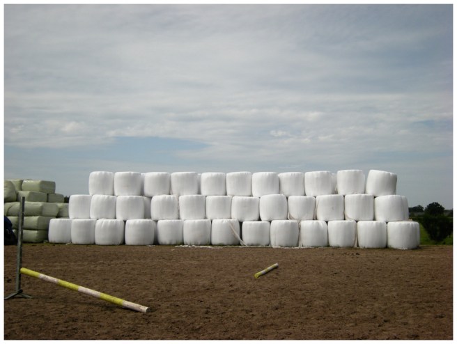 2009-xxxx manege overaseweg marshmallows FOTO GERTRUDSDOTTIR