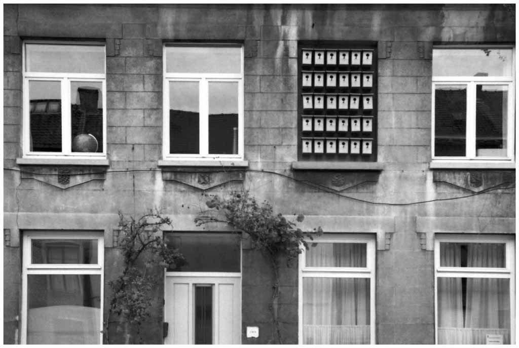 2012-55-01 gent vogelkasthuisjes FOTO GERTRUDSDOTTIR