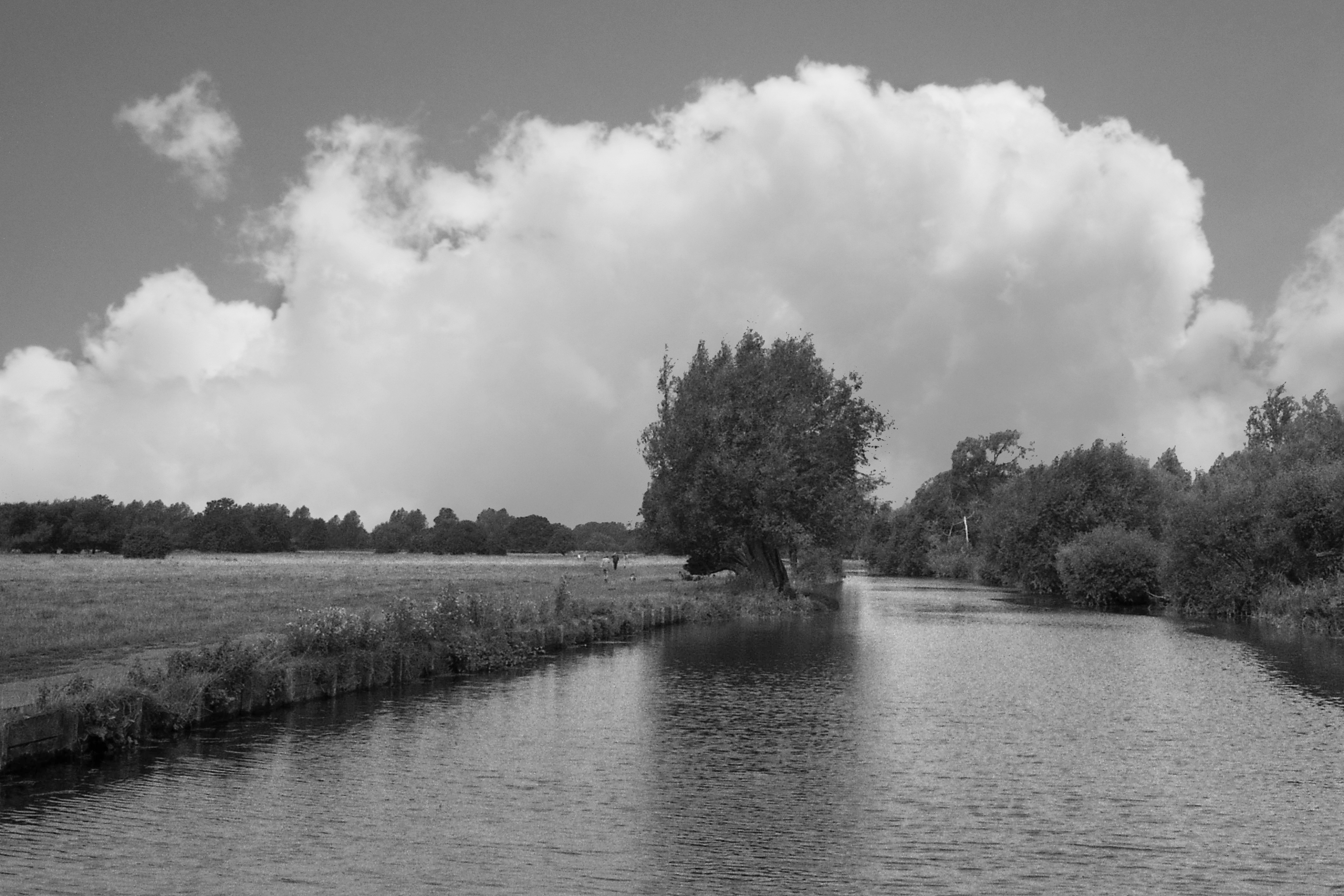 2014-68-15 riv Stour Dedham Vale GP wolk PHOTO BY GERTRUDSDOTTIR
