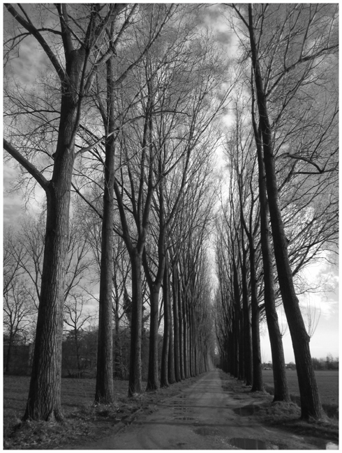 2018_5994.ZWW flodderdreef FOTO GERTRUDSDOTTIR.jpg