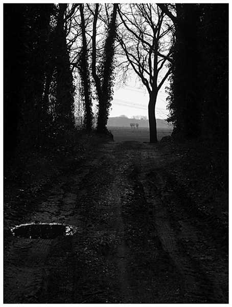 2018-6095 vuchtpolder salesdreef FOTO GERTRUDSDOTTIR