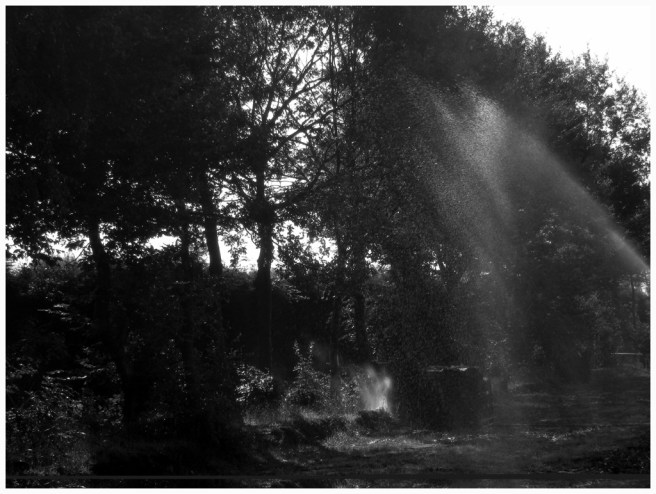 2009-2316 de rith zomer FOTO GERTRUDSDOTTIR