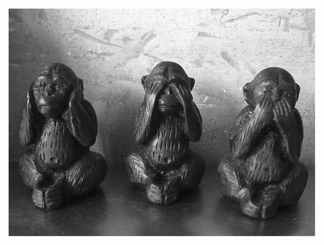 Toycam_2007_uvrm FOTO GERTRUDSDOTTIR