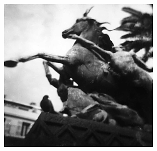 1984-100-01 cannes FOTO GERTRUDSDOTTIR