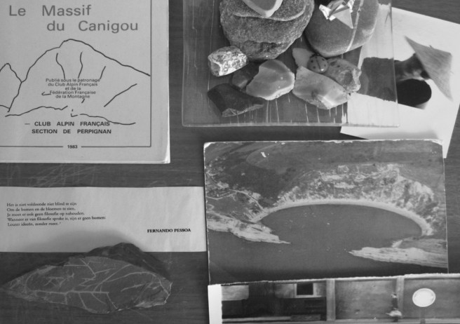 2018-6504 pessoa op zijn plek FOTO GERTRUDSDOTTIR