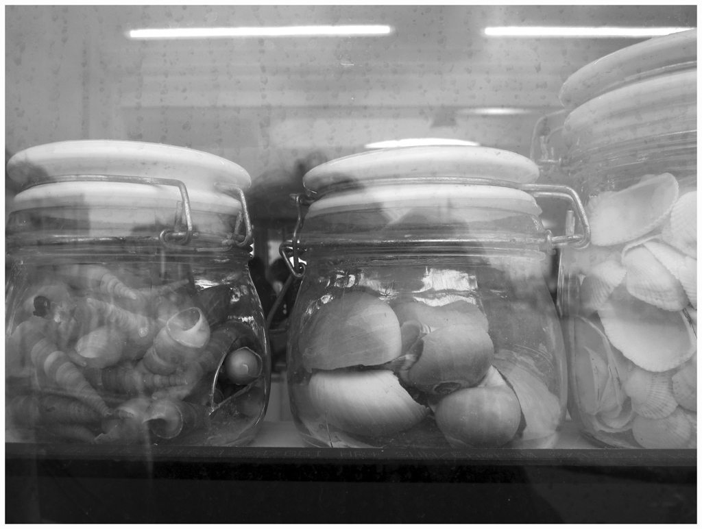 2018_6395 oostende kokkels FOTO GERTRUDSDOTTIR