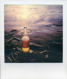 P-2018-007 Citrus Society PHOTO GERTRUDSDOTTIR