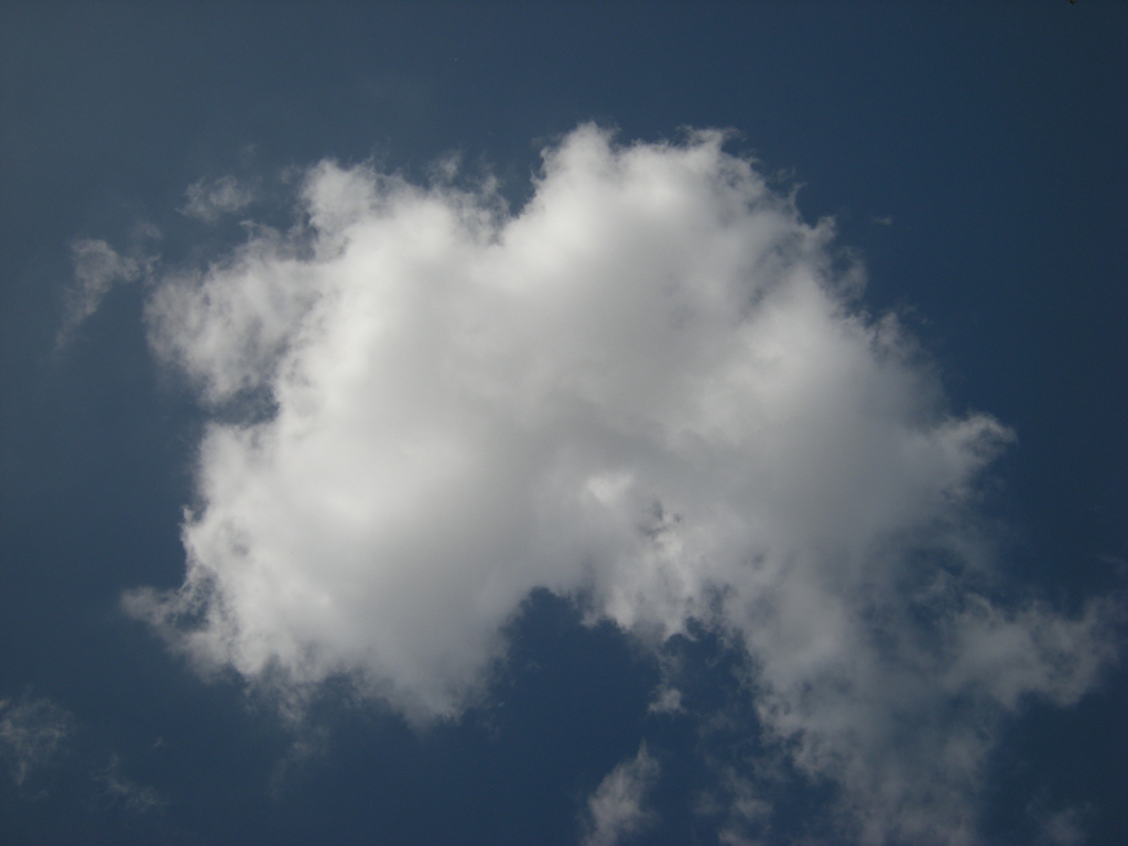 2009-2076 wolk GUSTAVE PETIT