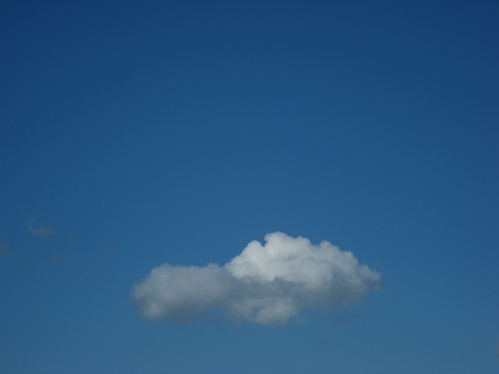 2009-2107 wolk PHOTO GUSTAVE PETIT
