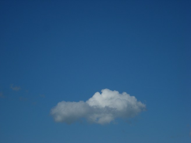 2009-2107 wolk PHOTO GUSTAVE PETIT