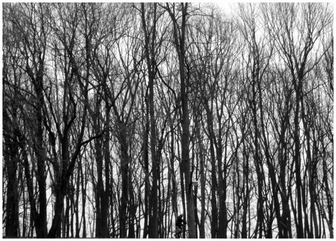 2018_6179 vught FOTO GERTRUDSDOTTIR