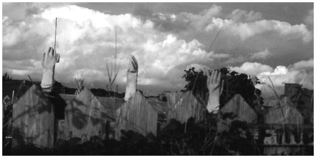 2018-80-09 findhorn vlieland FOTO GERTRUDSDOTTIR