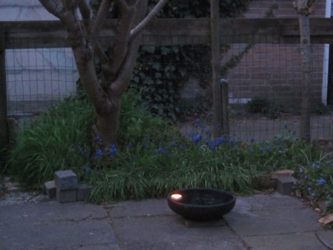 2019-6876 vogelbad lichtje 01 FOTO GERTRUDSDOTTIR