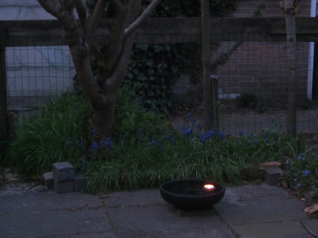 2019-6877 vogelbad lichtje 02 FOTO GERTRUDSDOTTIR