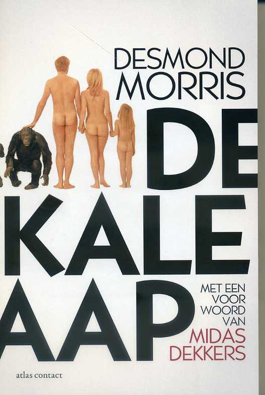 TTD MORRIS